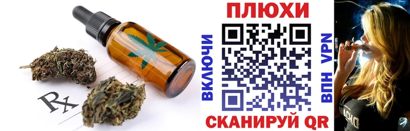 закладка  Выборг  Cannafood конопля 