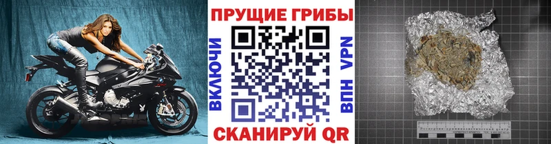 Псилоцибиновые грибы Magic Shrooms  Выборг 